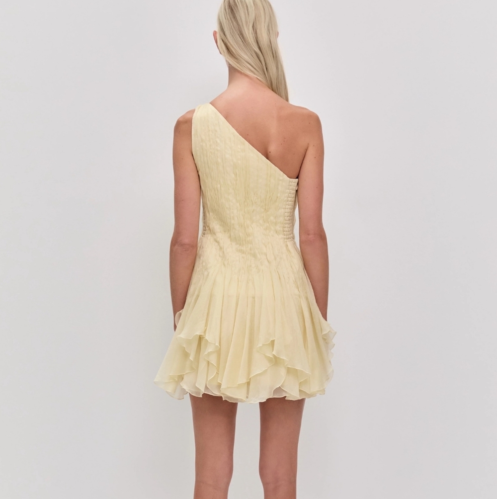 Aje Nisha Mini Dress Mini Dress - Picture 5 of 6